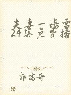 夫妻一场电视剧24集免费播放封面