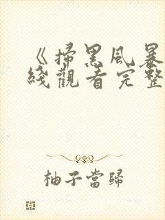 《扫黑风暴》在线观看完整版