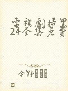 电视剧扫黑风暴24全集免费观看