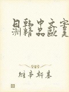 日韩中文字幕亚洲精品欧美