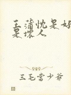 王蒲忱是好人还是坏人