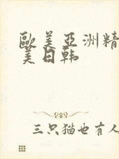 欧美亚洲精品欧美日韩
