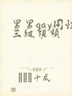 男男gay同性三级视频