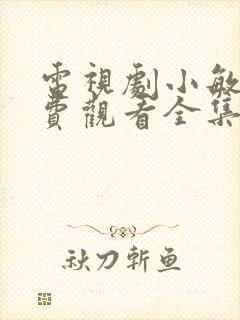 电视剧小敏家免费观看全集40集