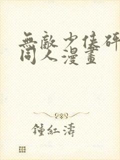 无敌少侠砰砰砰同人漫画封面