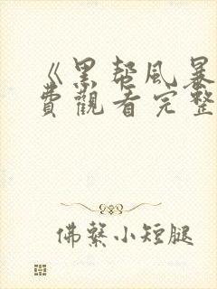 《黑帮风暴》免费观看完整版电影封面