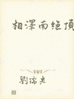 相泽南绝顶