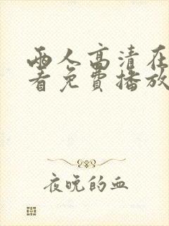 两人高清在线观看免费播放电视剧网