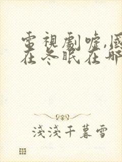 电视剧嘘,国王在冬眠在哪里拍的