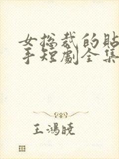 女总裁的贴身高手短剧全集