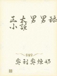 正太男男舔鸡鸡小说