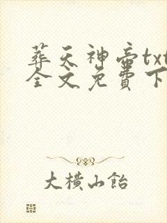 葬天神帝txt全文免费下载
