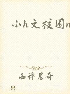 小h文校园np