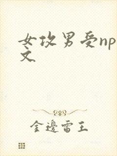 女攻男受nph文