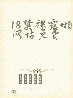 18禁裸露啪啪网站免费