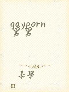 gayporn男男