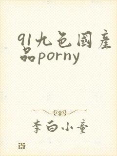 91九色国产精品porny封面