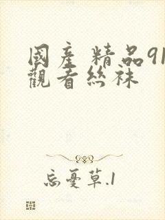 国产 精品91观看丝袜