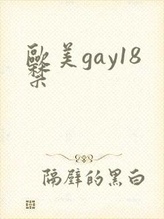 欧美gay18禁