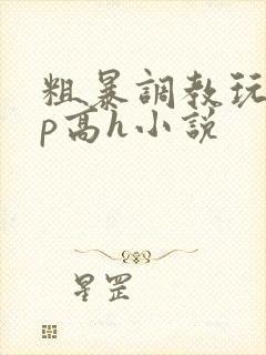 粗暴调教玩弄np高h小说封面