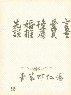 先婚后爱言情小说推荐质量好封面