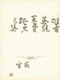 《孤军英雄》全集免费观看