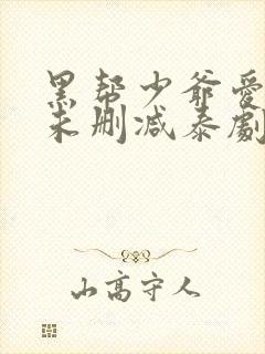 黑帮少爷爱上我未删减泰剧封面