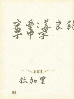 密爱:善良的嫂子中字封面