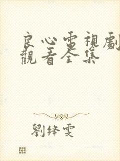 良心电视剧免费观看全集封面