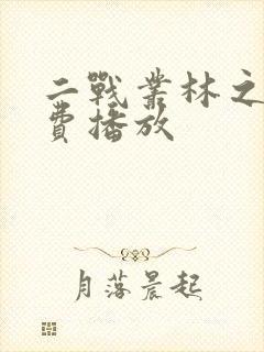 二战丛林之战免费播放