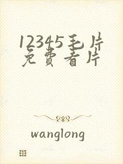 12345毛片免费看片