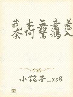 我本无意惹惊鸿奈何惊鸿入我心意思