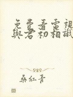 免费看电视剧《与君初相识》