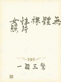 女性裸体无遮挡照片