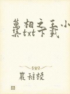 万相之王小说全集txt下载
