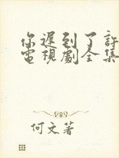 你迟到了许多年电视剧全集