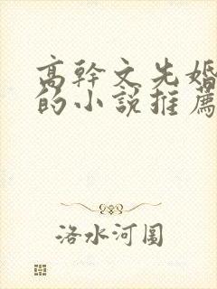 高干文先婚后爱的小说推荐