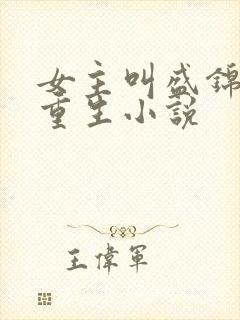 女主叫盛锦初的重生小说封面