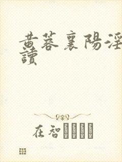 黄蓉襄阳淫史阅读