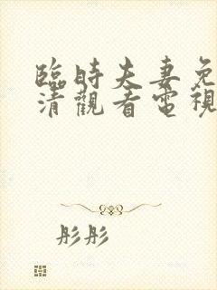 临时夫妻免费高清观看电视剧