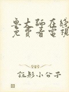 鲁大师在线高清免费看电视剧