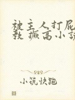 被主人打屁股调教 撅高小说