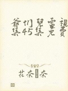 爷们儿电视剧全集45集免费观看