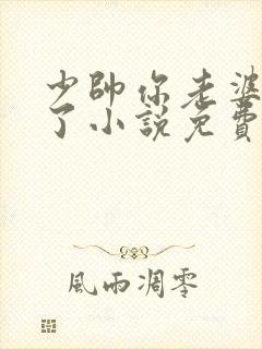 少帅你老婆又跑了小说免费阅读封面
