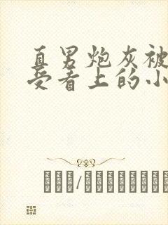 直男炮灰被主角受看上的小说
