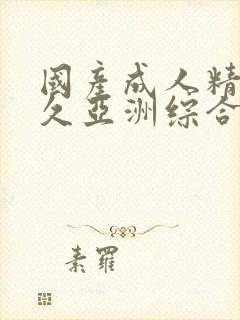 国产成人精品久久亚洲综合