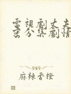 电视剧丈夫的秘密分集剧情介绍