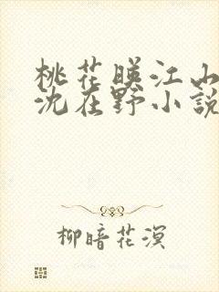 桃花映江山原著沈在野小说免费阅读无弹窗