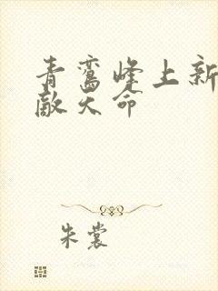 青鸾峰上新书无敌天命