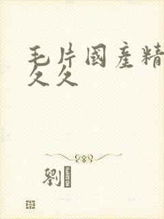毛片国产精品久久久